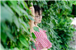 少妇被技师按摩高潮HD