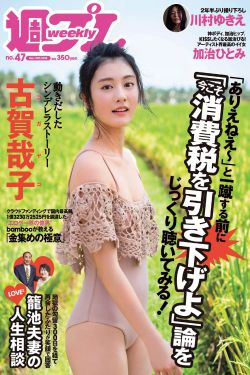 陆贞传奇有多少集