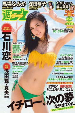 私人手段